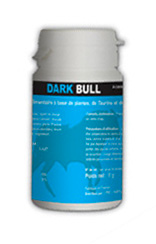 dark bull